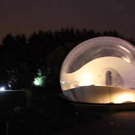 Oxybulle *